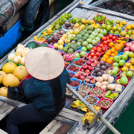 Vietnam & Kambodscha