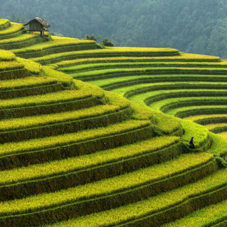 Vietnam & Kambodscha