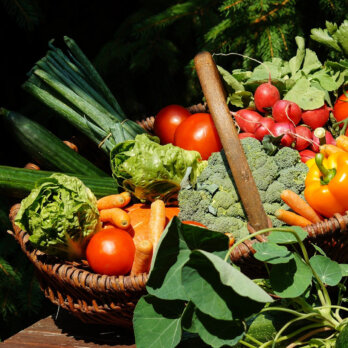 Brandenburger Bauernmarkt auf dem Wittenbergplatz in Berlin Brandenburger Bauernmarkt auf dem Wittenbergplatz in Berlin