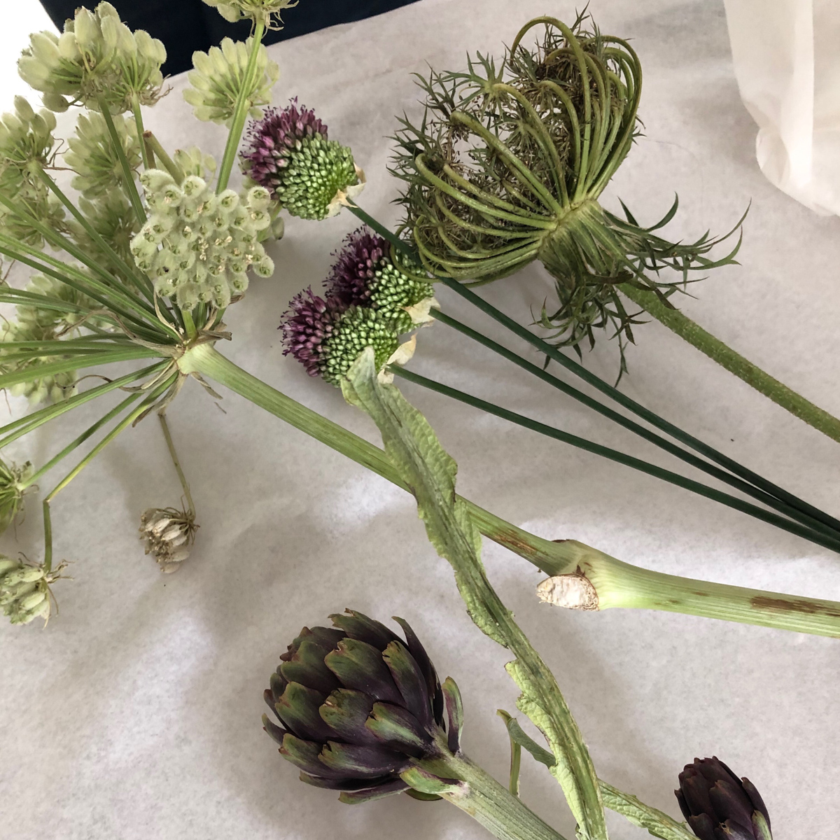 Forma Laboratoy Florist München-2