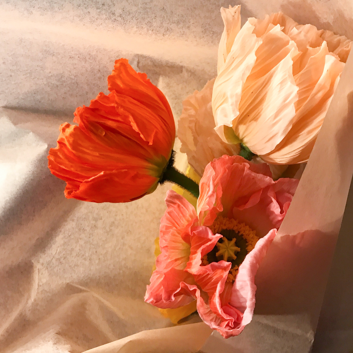 Forma Laboratoy Florist München