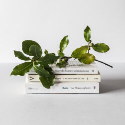 alex-loup-2zDw14yCYqk-unsplash-2 alex-loup-2zDw14yCYqk-unsplash-2