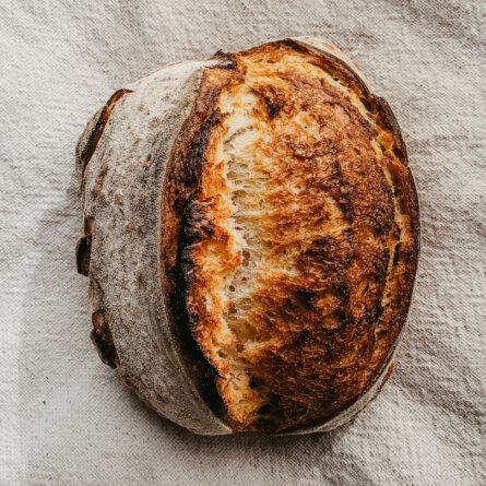 Sauerteigbrot mit den Brotschwestern Wien-8