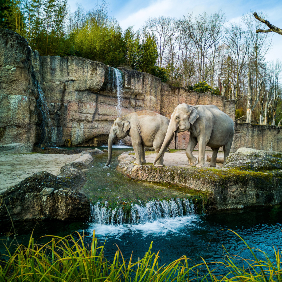 Wildnispark in Zürich