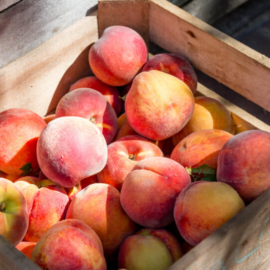 Wochenmärkte in Berlin-2