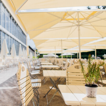 Restaurant-Café Palmenhaus im Schloss Nymphenburg-2