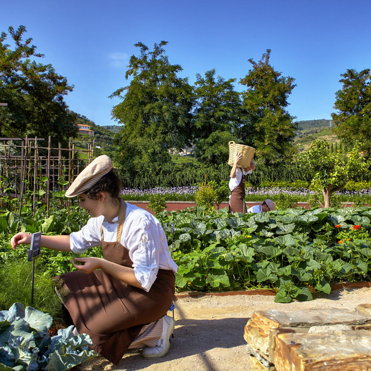 Six Sences Douro Valley Portugal-10
