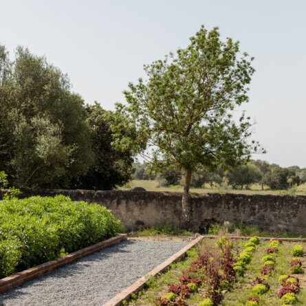 São Lourenço do Barrocal Garten ©Ash James