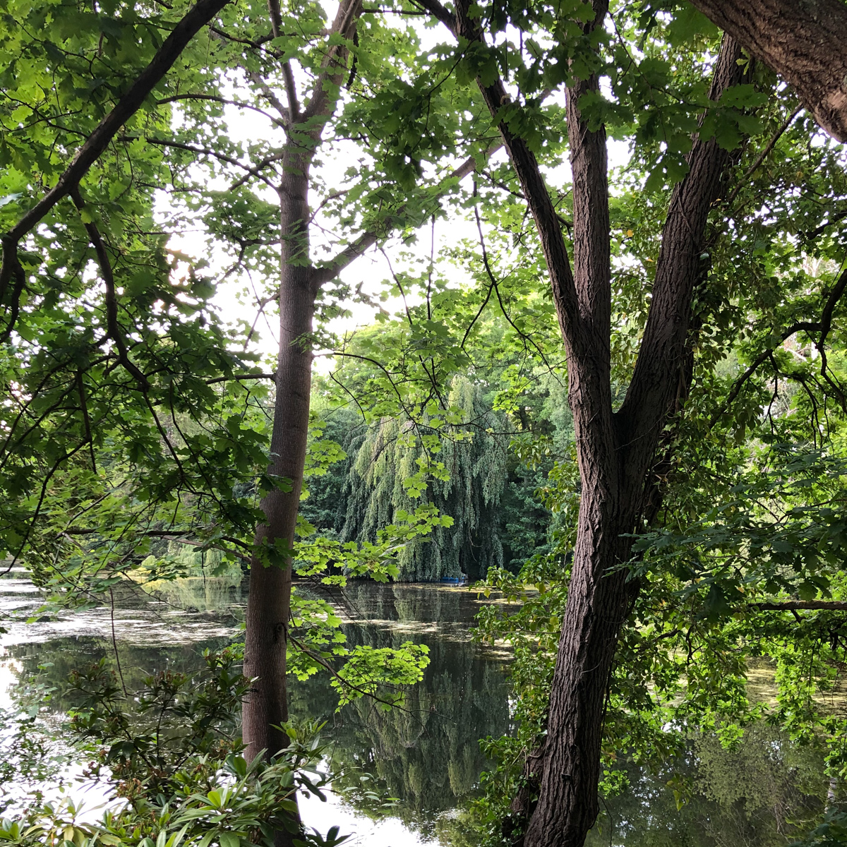 Biergarten am Herthasee in Berlin