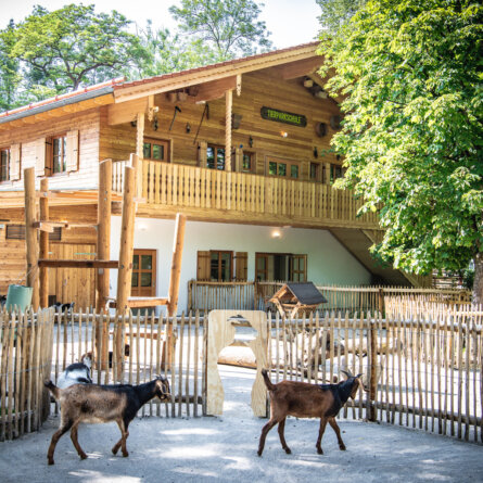 Tierpark Hellabrunn in München Thalkirchen © Marc Mueller