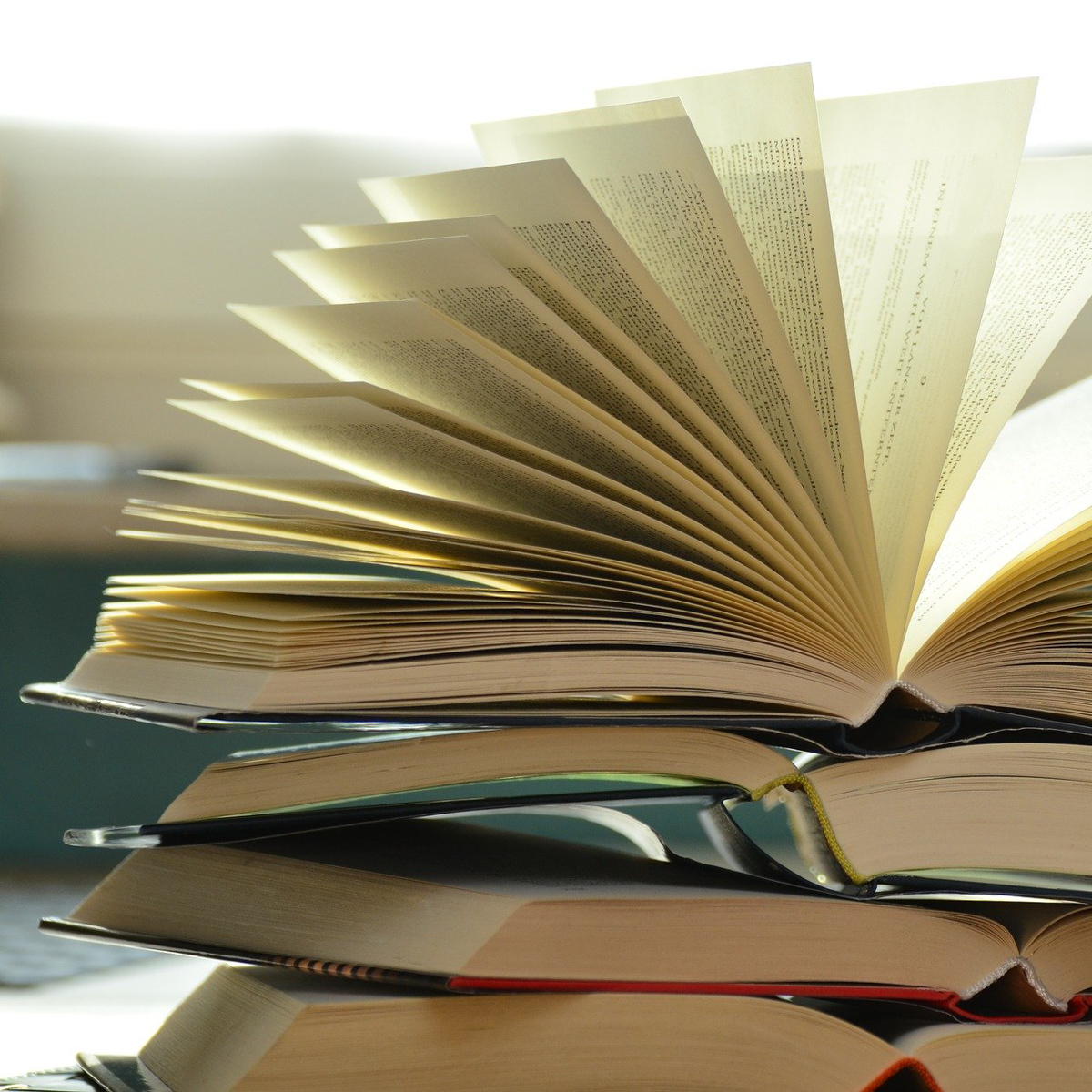 Berlins schönste Buchhandungen