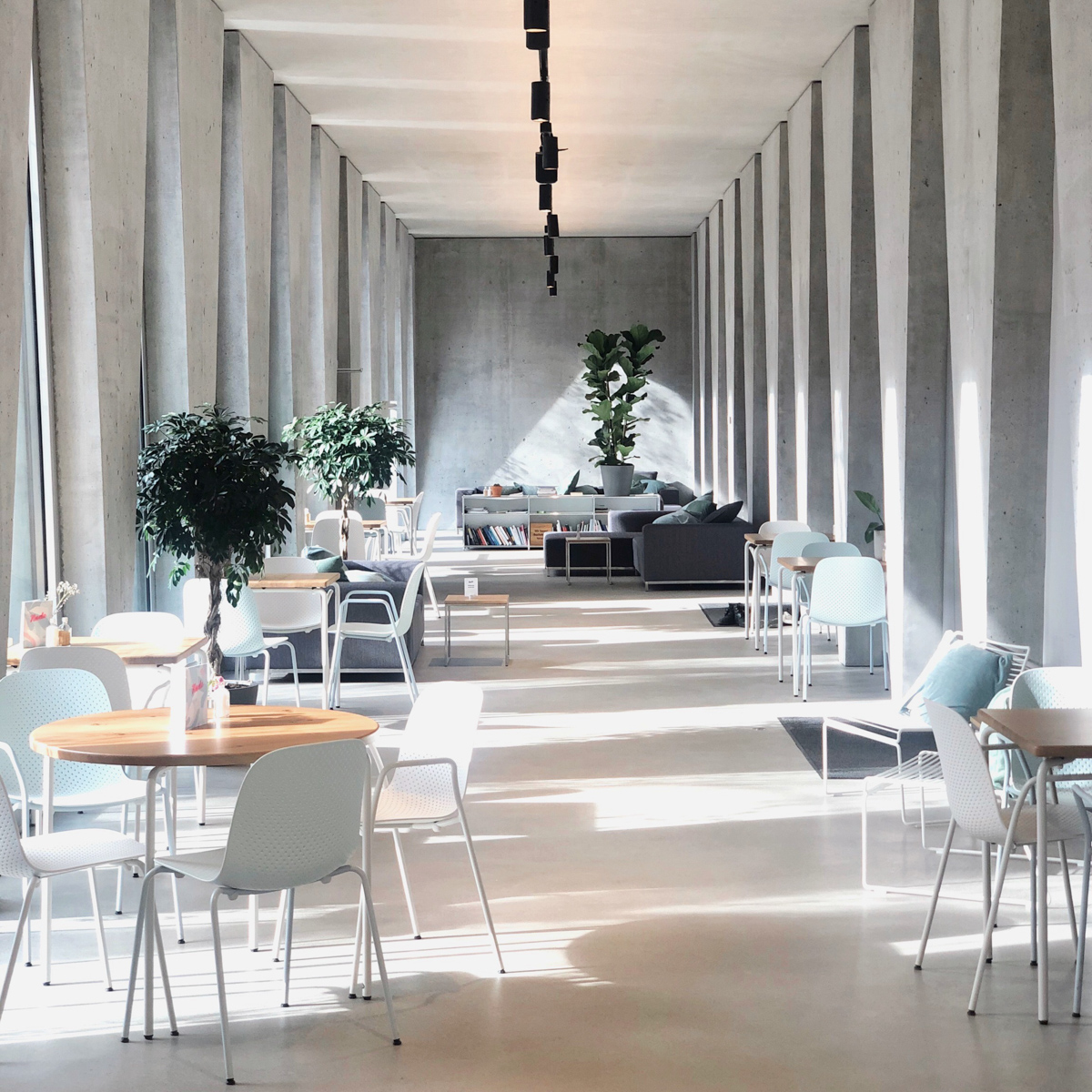 Nude Café & Bar in Zürich-3