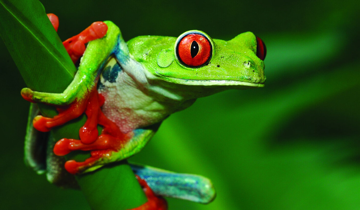 Reiseland Costa Rica-2