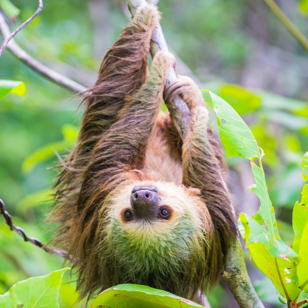 Reiseland Costa Rica-9