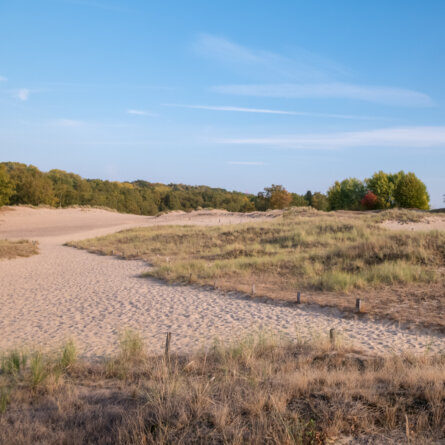 Boberger Dünen in Hamburg-2