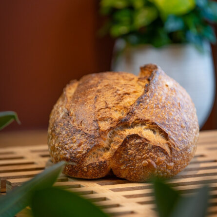 Copenhagen Coffee Lab in Hamburg-Eppendorf-2