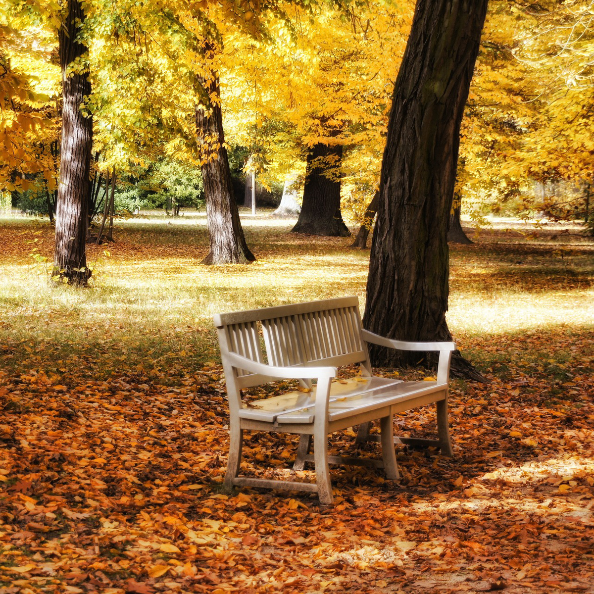 Die schönsten Spaziergänge im Herbst-2