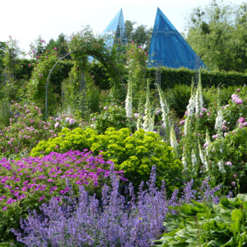 Loki-Schmidt-Garten in Hamburg Loki-Schmidt-Garten in Hamburg