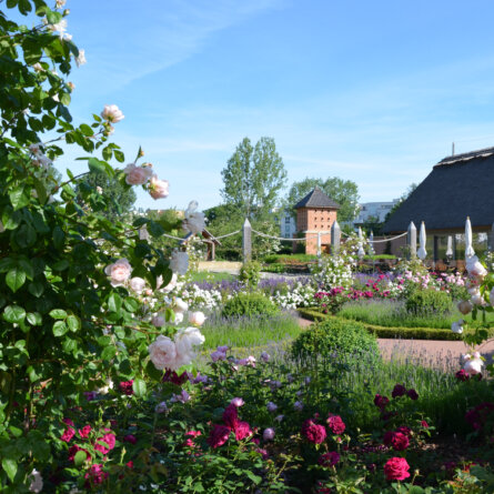 Gärten der Welt Berlin © Grün Berlin-3