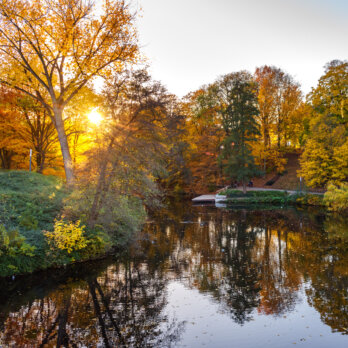 Planten un Bloom Hamburg 2