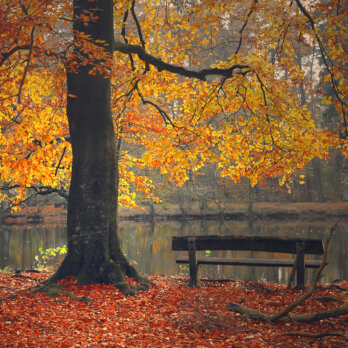 shutterstock-1853081743-1