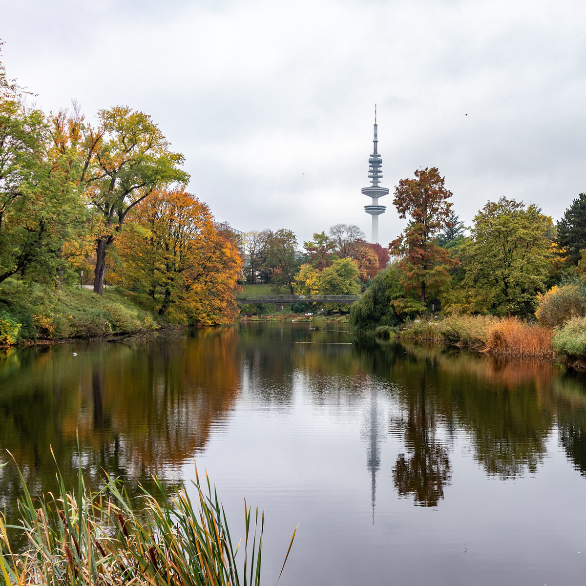 Top 10 Ausflugsziele im Herbst in Hamburg