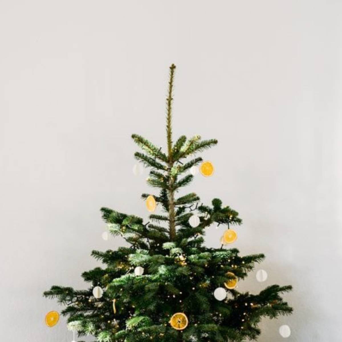 wundertree-geschmueckt