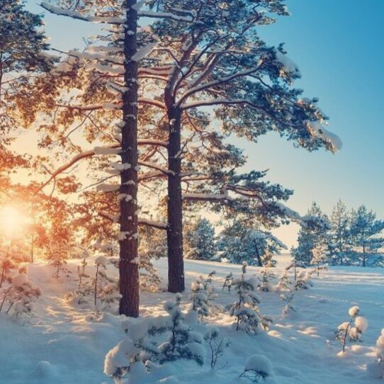 winter (1) winter (1)