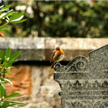 Grabmal Kirchhof Grabmal Kirchhof