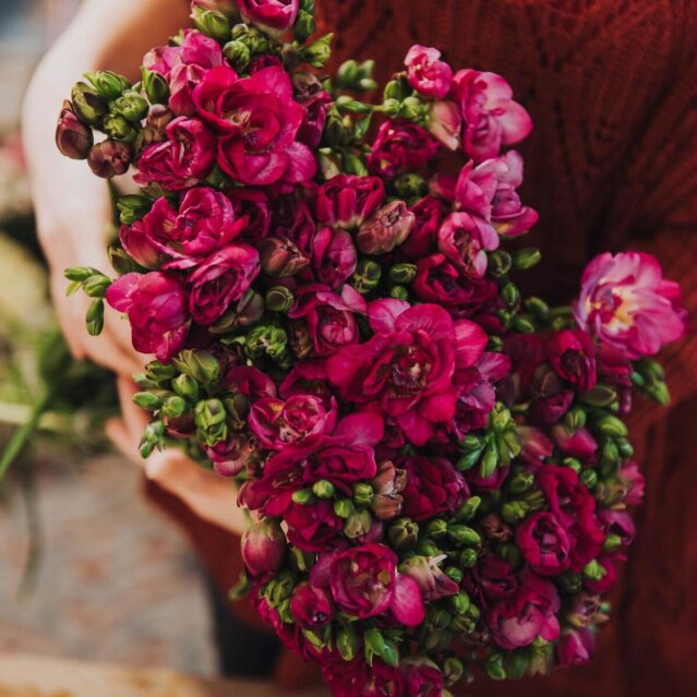 paola-alimentari-hamburg