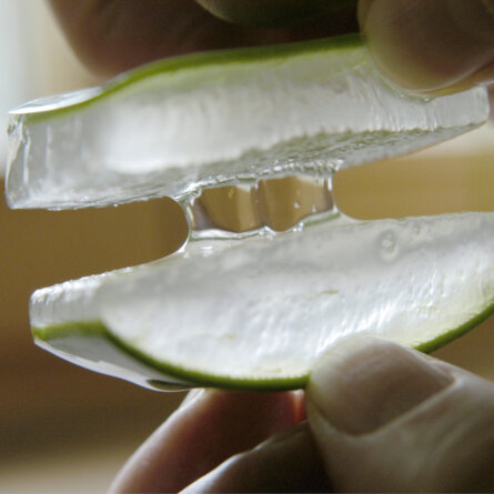 Aloe Vera_Pharmos Natur