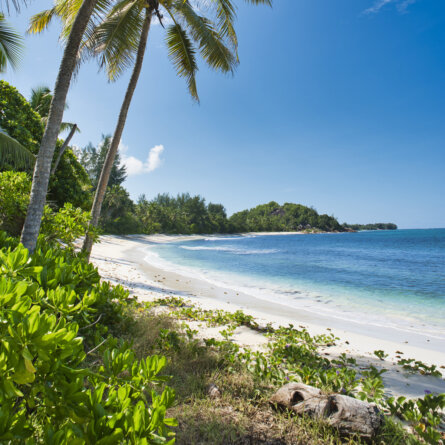 Constance Lemuria Strand