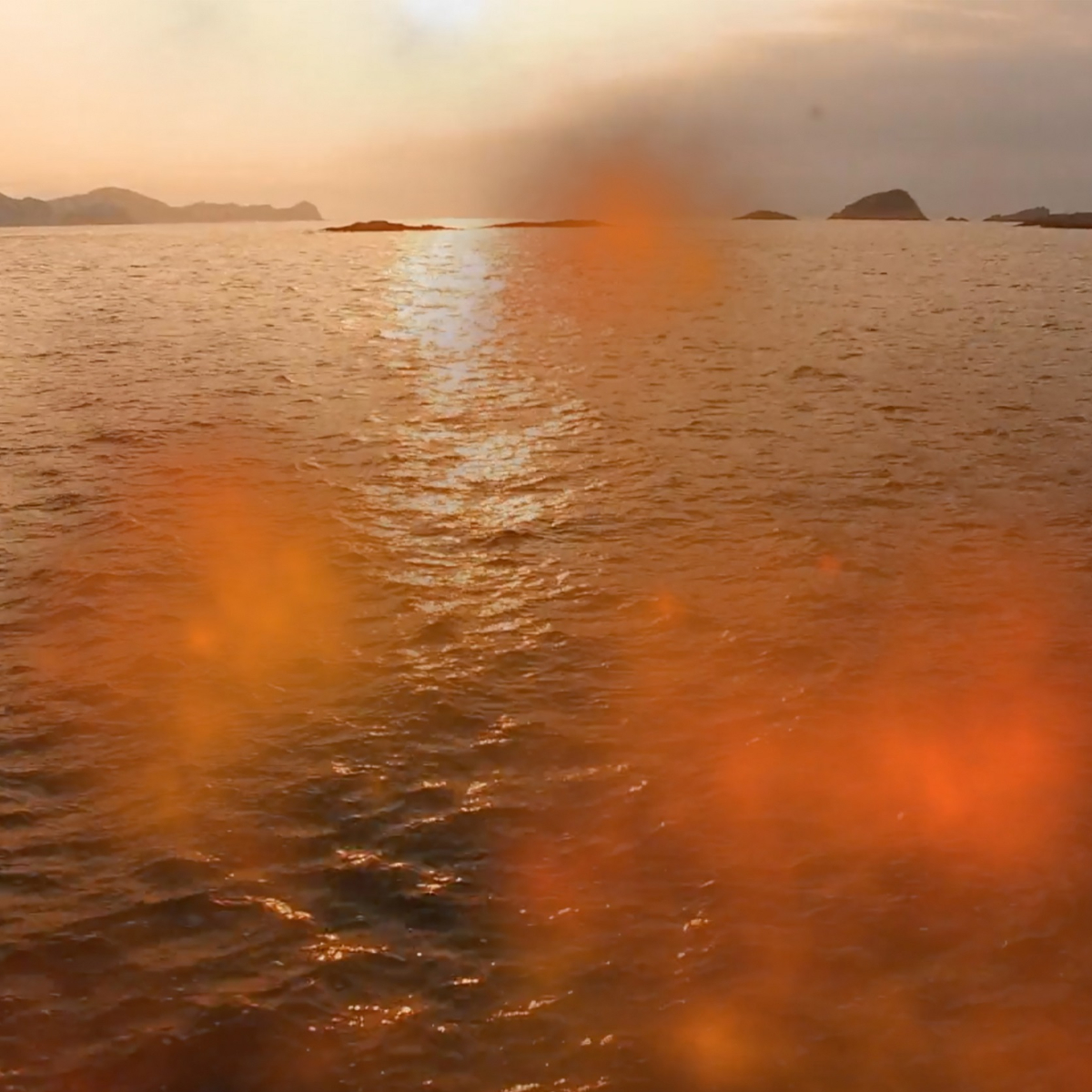 D A R K   W A T E R S, 2018, video still, Facing New Challenges_ Water, 202021   @Heidelberger Kunstverein &  @Internationales Filmfestival Mannheim-Heidelberg