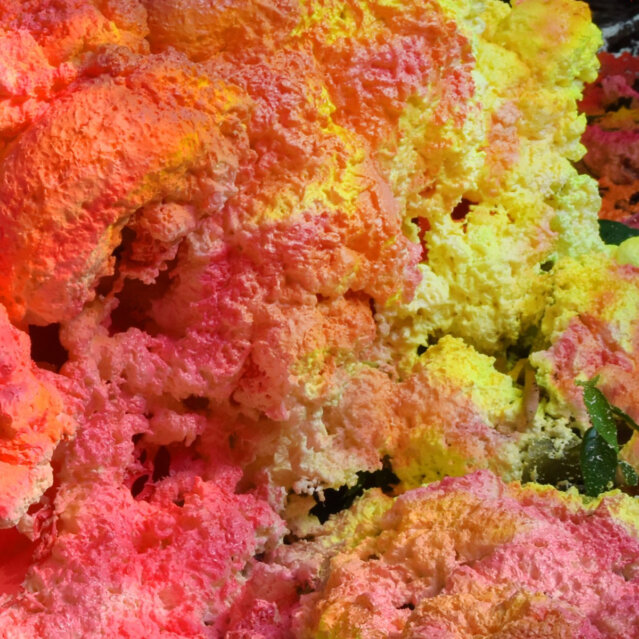 Nadine Baldow, Detail Nadine Baldow, Detail