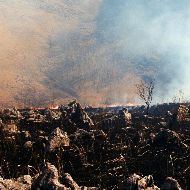Jakrawal Nilthamrong, Barn Burner (Filmstill aus The Last Museum, 2021) Courtesy der Kuenstler