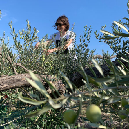 Tovar Oil Olivenoel (1)