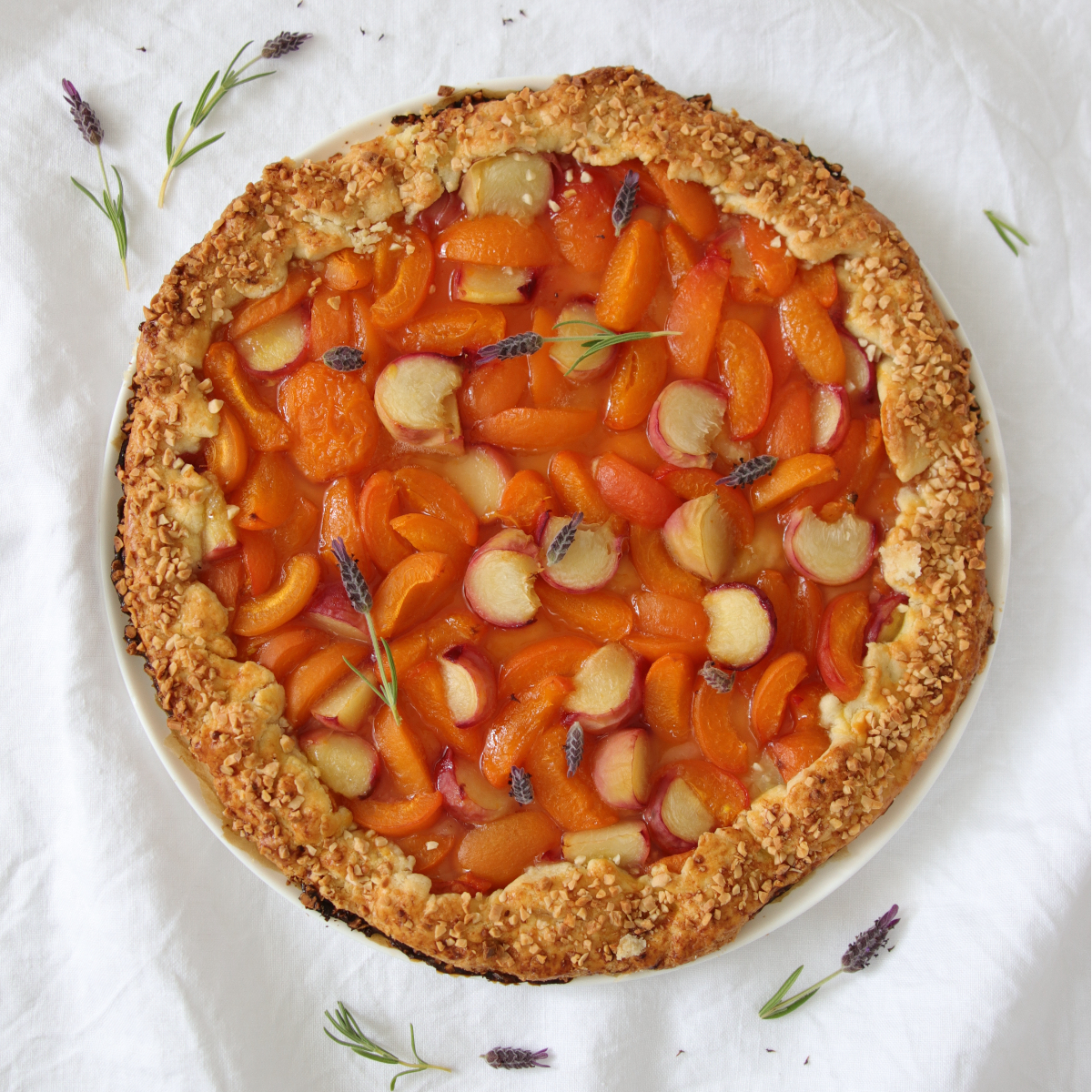 brot_und_honig_aprikosentarte