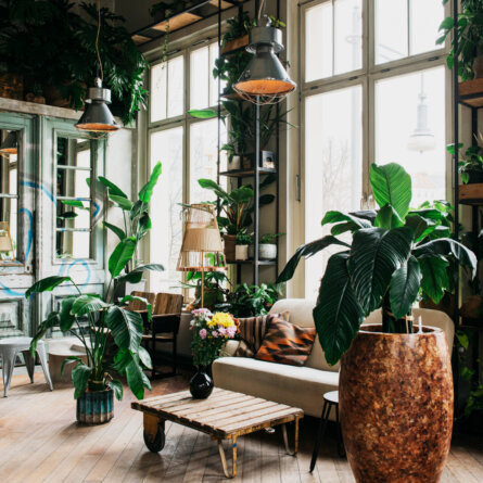 Frank Cafe Berlin cozy