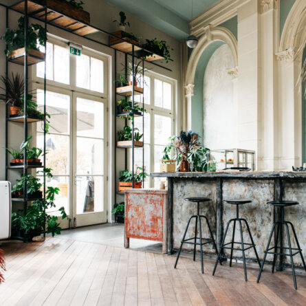 Frank Cafe Berlin Urban Jungle