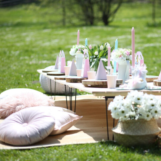 Popup Picknick (3)