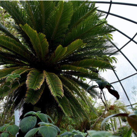 Botanischer Garten Zuerich (1)