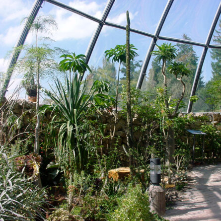 Botanischer Garten Zuerich Kakteen