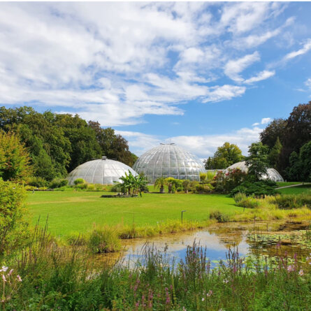 Botanischer Garten Zuerich Kuppeln (1)