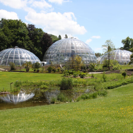 Botanischer Garten Zuerich Kuppeln