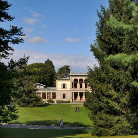 Park, Museum Rietberg  Foto_ Museum Rietberg (1)
