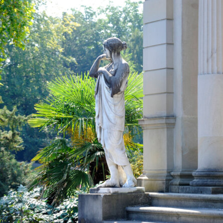 Park, Museum Rietberg  Foto_ Museum Rietberg