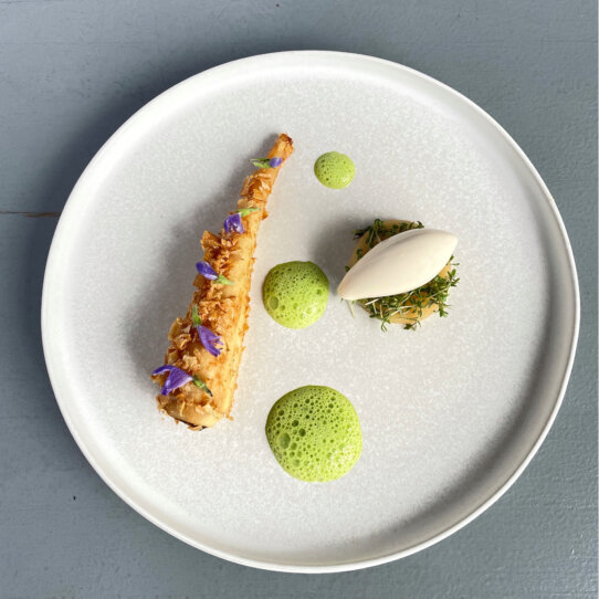 BFW Bonvivant Berlin Pastinake BFW Bonvivant Berlin Pastinake