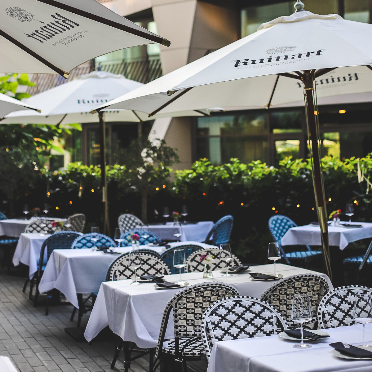 Terrace The Rose (1)