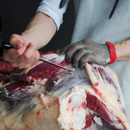 To The Bone Berlin  (1)