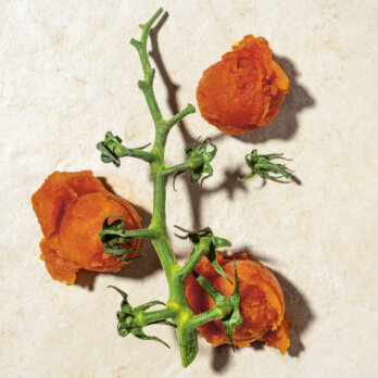 tomaten_tabasco_sorbet_Sorbet_gelato